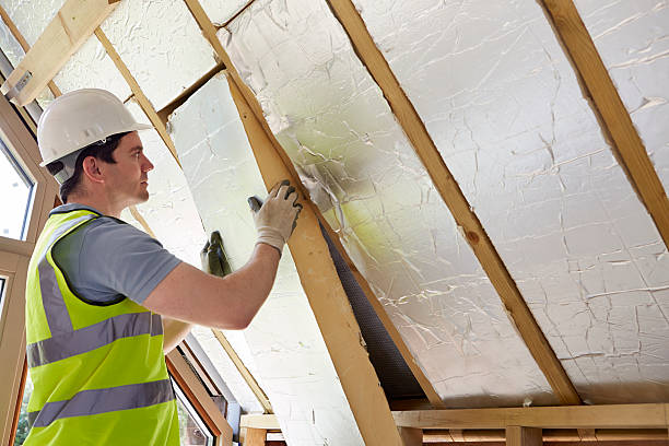 Best DIY Insulation Kits and Guidance in Ruleville, MS